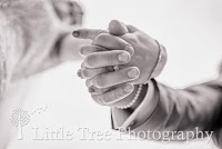 Little Tree Wedding Photography 1093078 Image 4